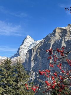 Fotografia z Aurelian Böhler na trase