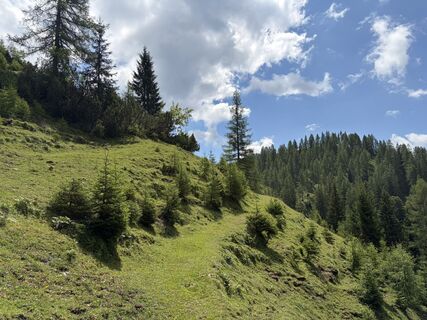 Photo de Ines Köhler le long du parcours