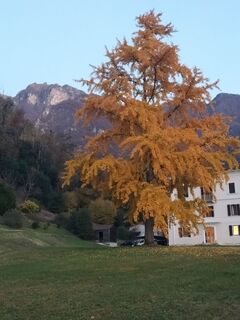 Fotografija s spletne strani Erwin Maier na poti