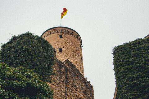 Blick auf die Godesburg