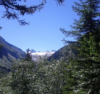 Aussicht