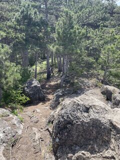 Foto von xmann2 entlang der Tour