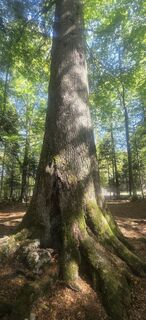 Fotografia z Darija Forgač na trase