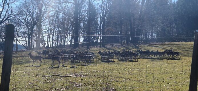 Fotografia z Utassy Tóth Johanna na trase