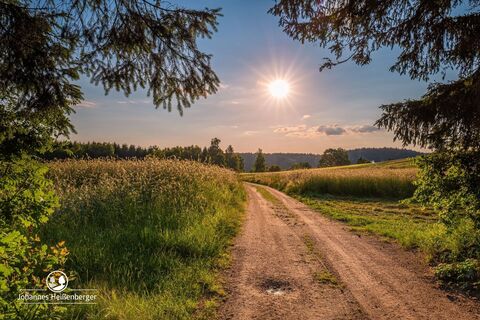 Landschaft