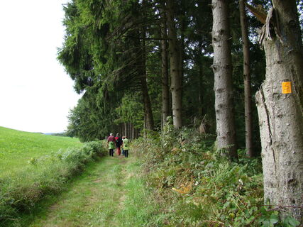 Bergischer Weg im Naafbachtal