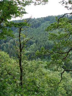 Leithentalblick2