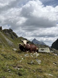 Foto von Monica entlang der Tour