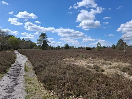 Fotografia z nordbergschnecke na trase