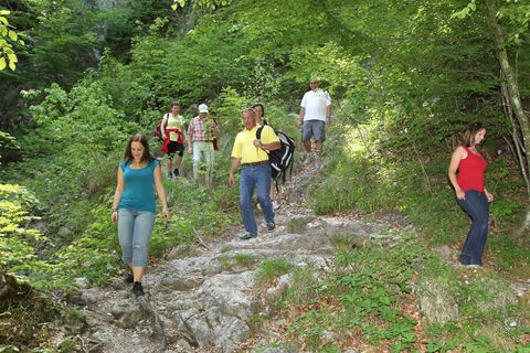 Eisenau - Valerieweg
