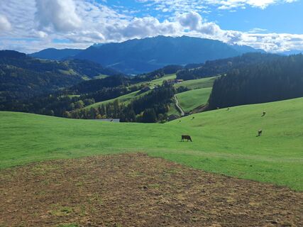 Fotografia z Jörg Schrörs na trase