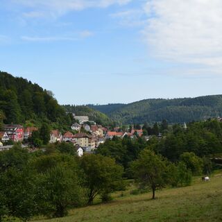 Blick auf Bad Herrenalb vom Albtalweg aus.