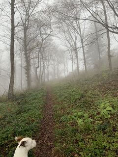 Photo de Leo Fahrngruber le long du parcours
