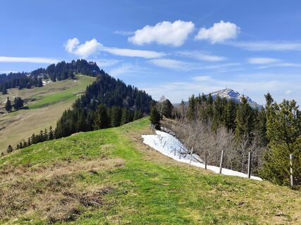 Foto de Darius Amarapura a lo largo del recorrido