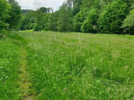 Ennepetal_Behlinger Weg