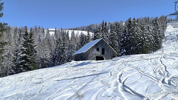Fotografia z Soltész József na trase