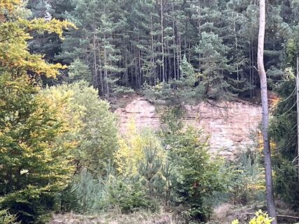 Fotografia z Roland Steinfadt na trase