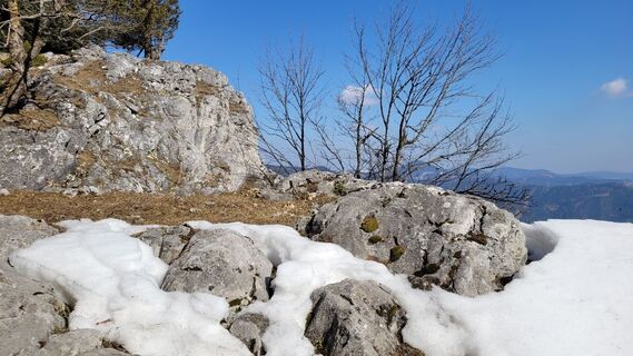 Foto von Juliane Jarke entlang der Tour