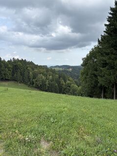 Fotografija s spletne strani Reinhard Frewein na poti
