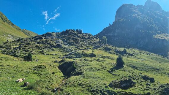 Foto von don_pejote entlang der Tour