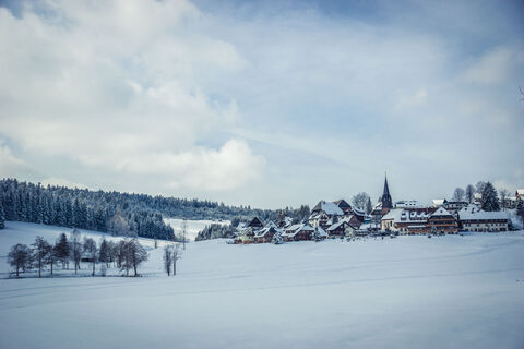 Blick auf Waldau