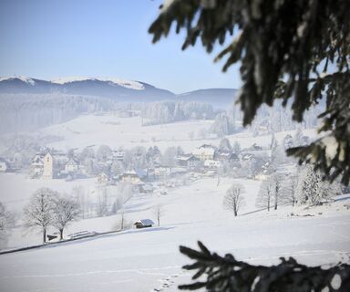 Blick auf Saig