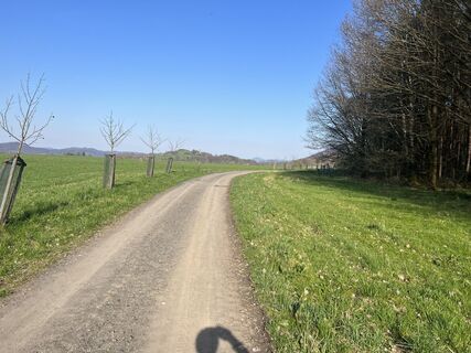 Фото с сайта Václav Stejskal во время экскурсии