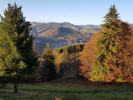 MTB-Tour 7 durchs Zeller Bergland