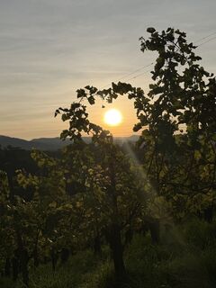 Zdjęcie z Jürgen Haindler 2 wzdłuż trasy