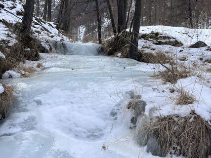 Photo de Carlos.Randow le long du parcours