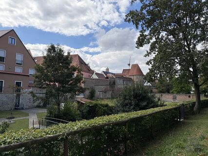 Zdjęcie z Schaali wzdłuż trasy