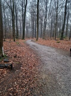 Foto von Brenda Kroesbergen entlang der Tour