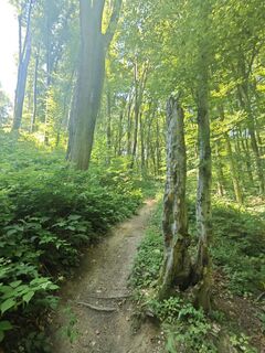 Photo de Katona Ferk Mariann le long du parcours