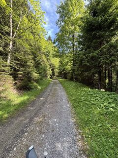 Foto de Dominik Wymann a lo largo del recorrido