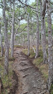 Fotó a Aga M honlapról a túra során