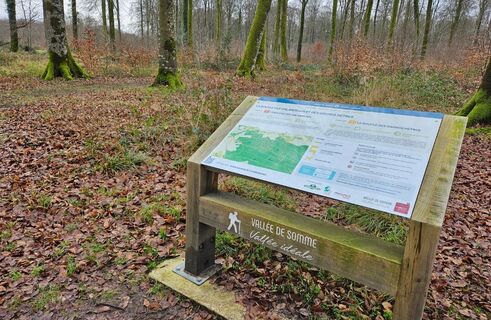 Wanderwege im Crécy-Wald