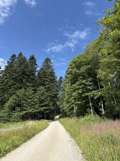 Fotografia z Heinz Sperl na trase