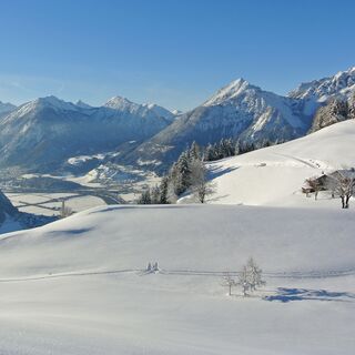 Ausblick vom Plateau des Reither Kogels im Juppi Zauberwald
