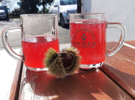 Foto von Thomas Goll entlang der Tour