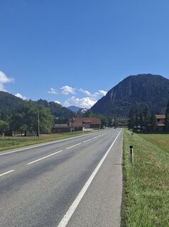 Foto von Mangolein entlang der Tour