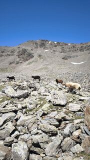 Foto da Mirko Stefani lungo il tour