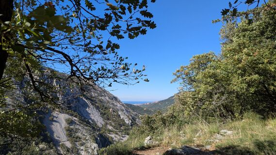 Foto von Ziegler Em1304 entlang der Tour