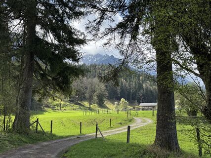 Foto von Denise Miller entlang der Tour