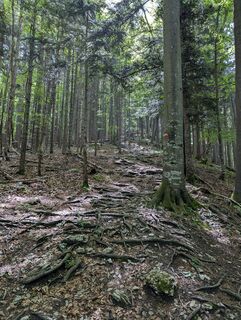 Foto von Adithya505150 entlang der Tour