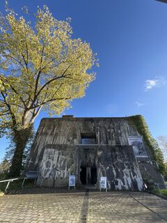 Fotografia z Harald Engel na trase