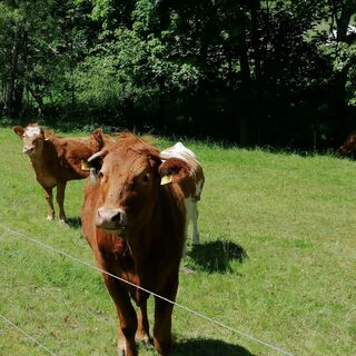 Aufstieg nach Börnchen