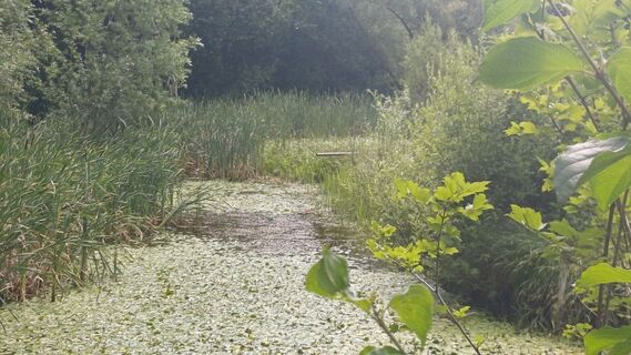 Photo de Laufnix-Kallixus le long du parcours