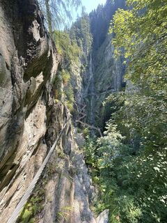 Fotografija s spletne strani pedaklaus na poti