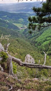 Fotografija s spletne strani Leo Reiterer na poti