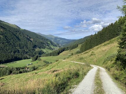 Photo de Koen De Wit le long du parcours